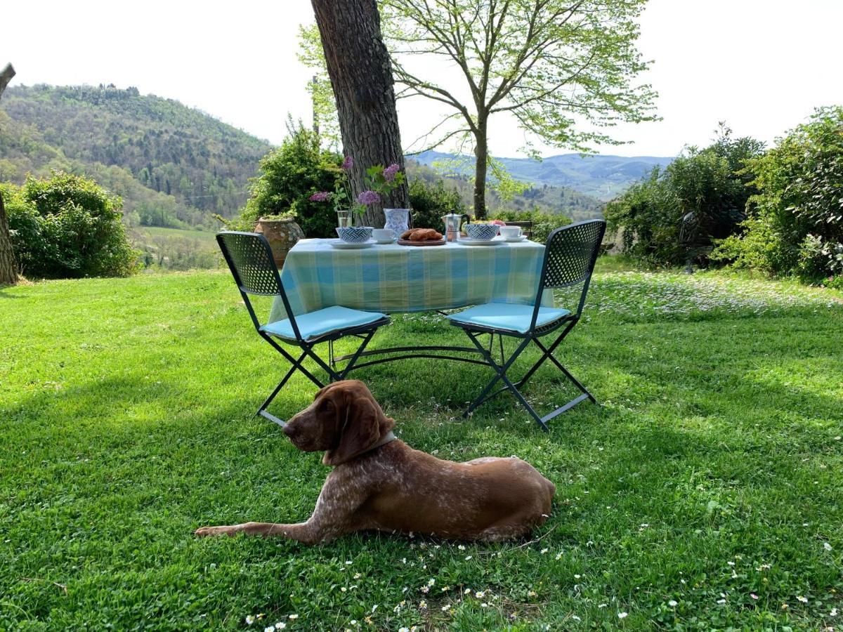 Antico Borgo Di Sugame Villa Greve in Chianti Ngoại thất bức ảnh